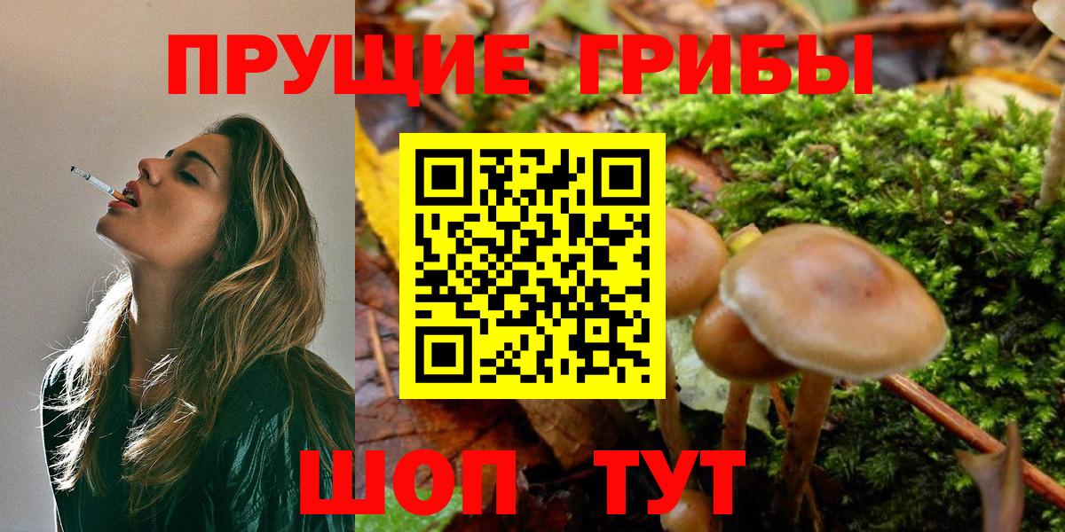 Галлюциногенные грибы Magic Shrooms  Вход с VPN  Якутск  Галлюциногенные грибы мицелий 