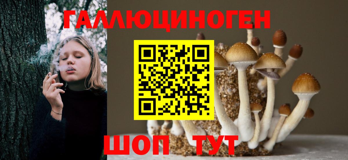 Псилоцибиновые грибы Cubensis Якутск